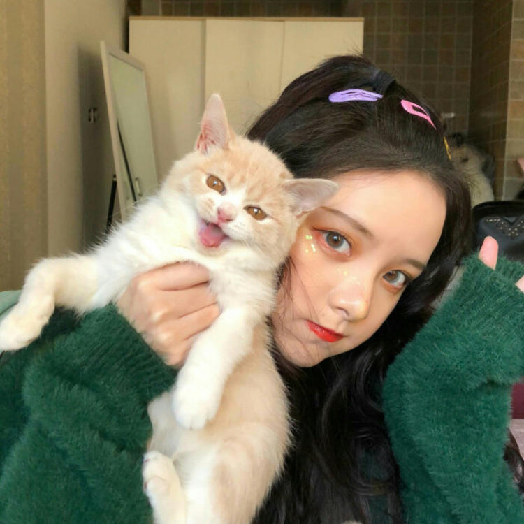 古桥一浩 - 猪蜜蜜电视剧大全在线观看11 - 电脑看剧